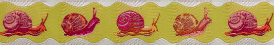 Down to Earth - Snailed It in Afterglow - 7/8" width - by Tula Pink - One Yard (Preorder)