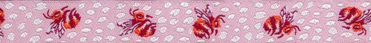 Down to Earth - Doe Re Bee in Afterglow - 5/8" width - by Tula Pink - One Yard (Preorder)