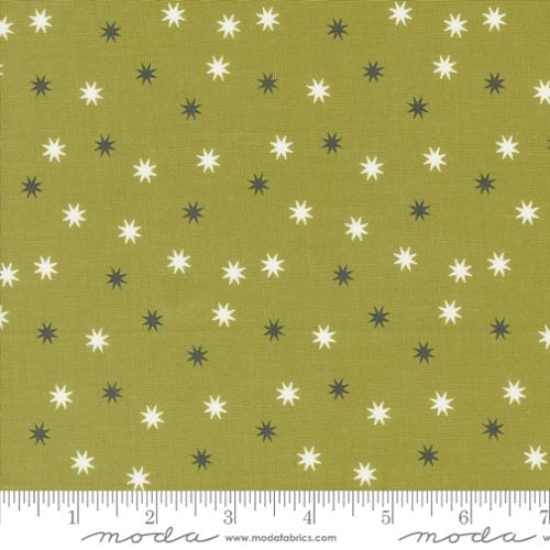Hey Boo - Practical Magic Stars in Witchy Green - 5215 17 - Half Yard