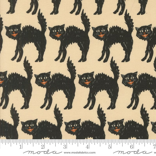 Home Sweet Haunt - Little Black Cat in Bone - Stacy Iest Hsu - 20915 11 - Half Yard