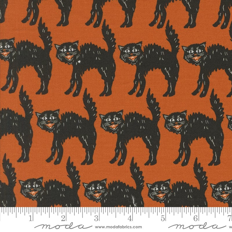 Home Sweet Haunt - Little Black Cat in Rust - Stacy Iest Hsu - 20915 13 - Half Yard