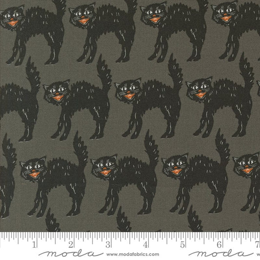Home Sweet Haunt - Little Black Cat in Stone - Stacy Iest Hsu - 20915 12 - Half Yard