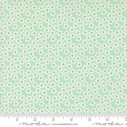 Popcorn Aqua - by Elizabeth Hartman for Moda (Preorder)