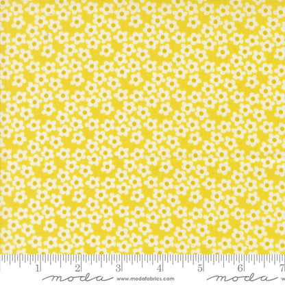Popcorn Flowers in Chartreuse - by Elizabeth Hartman for Moda (Preorder)