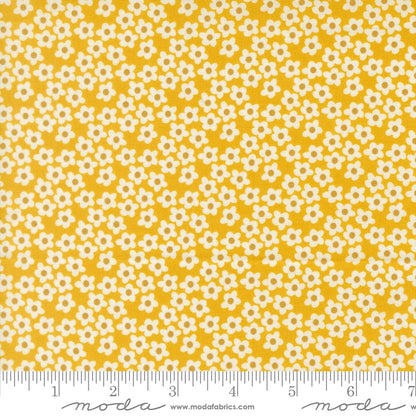 Popcorn Flowers in Orange - by Elizabeth Hartman for Moda (Preorder)