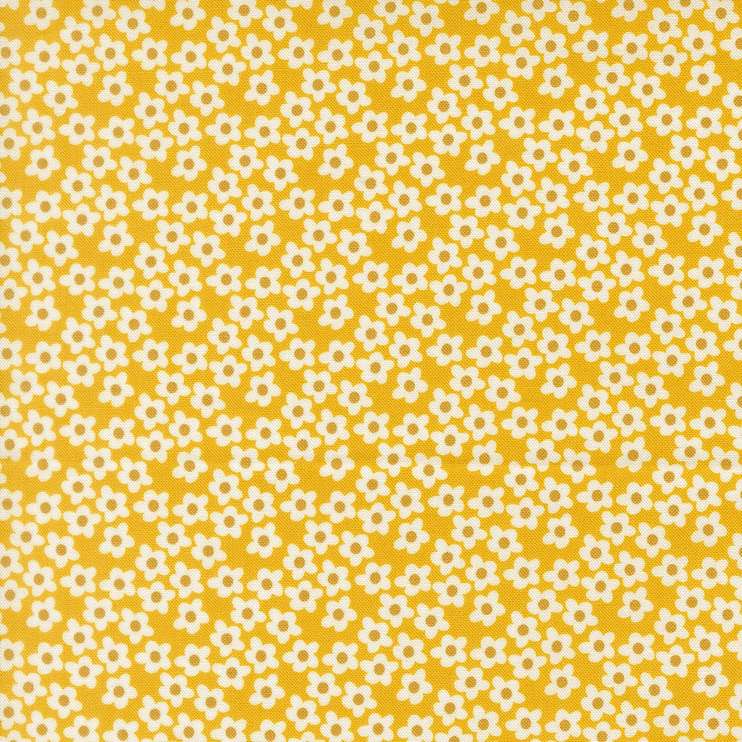 Moda's Popcorn by Elizabeth Hartman cotton quilting fabric with small white flowers and golden brown centers on bright yellow.
