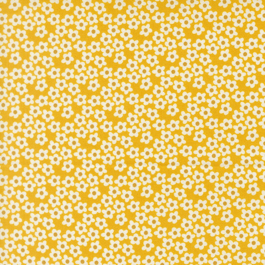 Moda's Popcorn by Elizabeth Hartman cotton quilting fabric with small white flowers and golden brown centers on bright yellow.