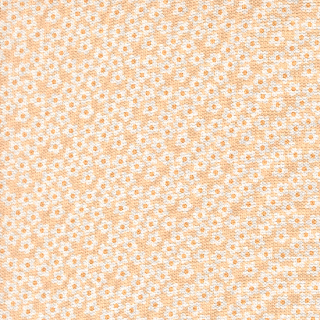 Moda's Popcorn by Elizabeth Hartman cotton quilting fabric features small white flowers with tiny light orange centers on a peach background.