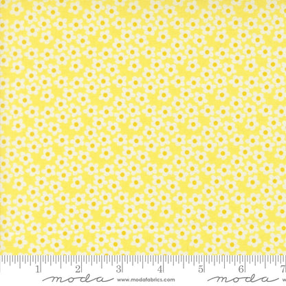 Popcorn Sunshine - by Elizabeth Hartman for Moda (Preorder)