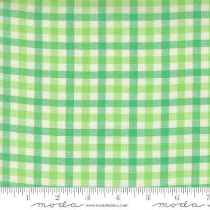 Popcorn Wovens Checks and Plaids in Mint - by Elizabeth Hartman for Moda (Preorder)