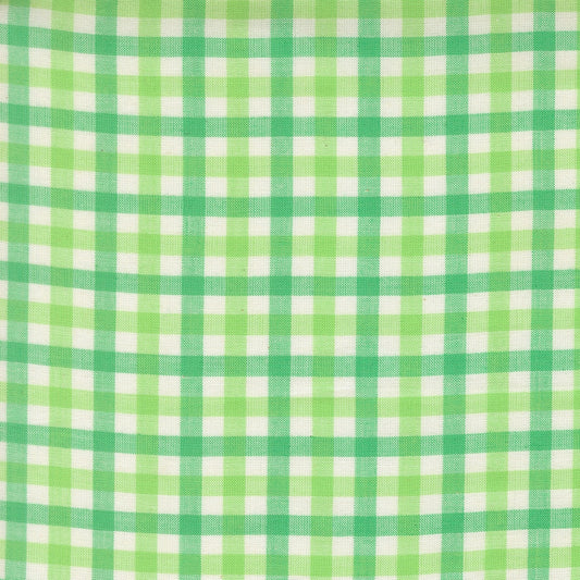 Mint green gingham check Popcorn Wovens by Elizabeth Hartman cotton quilting fabric with off-white, mint, and bright green squares.