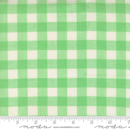 Popcorn Wovens Mint - by Elizabeth Hartman for Moda (Preorder)