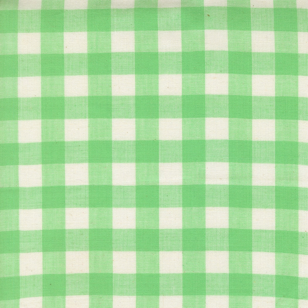 Moda's Mint green gingham cotton quilting fabric from Popcorn Wovens by Elizabeth Hartman.