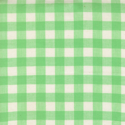 Moda's Mint green gingham cotton quilting fabric from Popcorn Wovens by Elizabeth Hartman.