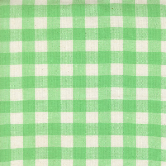Moda's Mint green gingham cotton quilting fabric from Popcorn Wovens by Elizabeth Hartman.