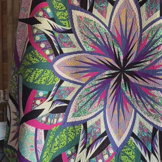 Jungle Magnolia Video