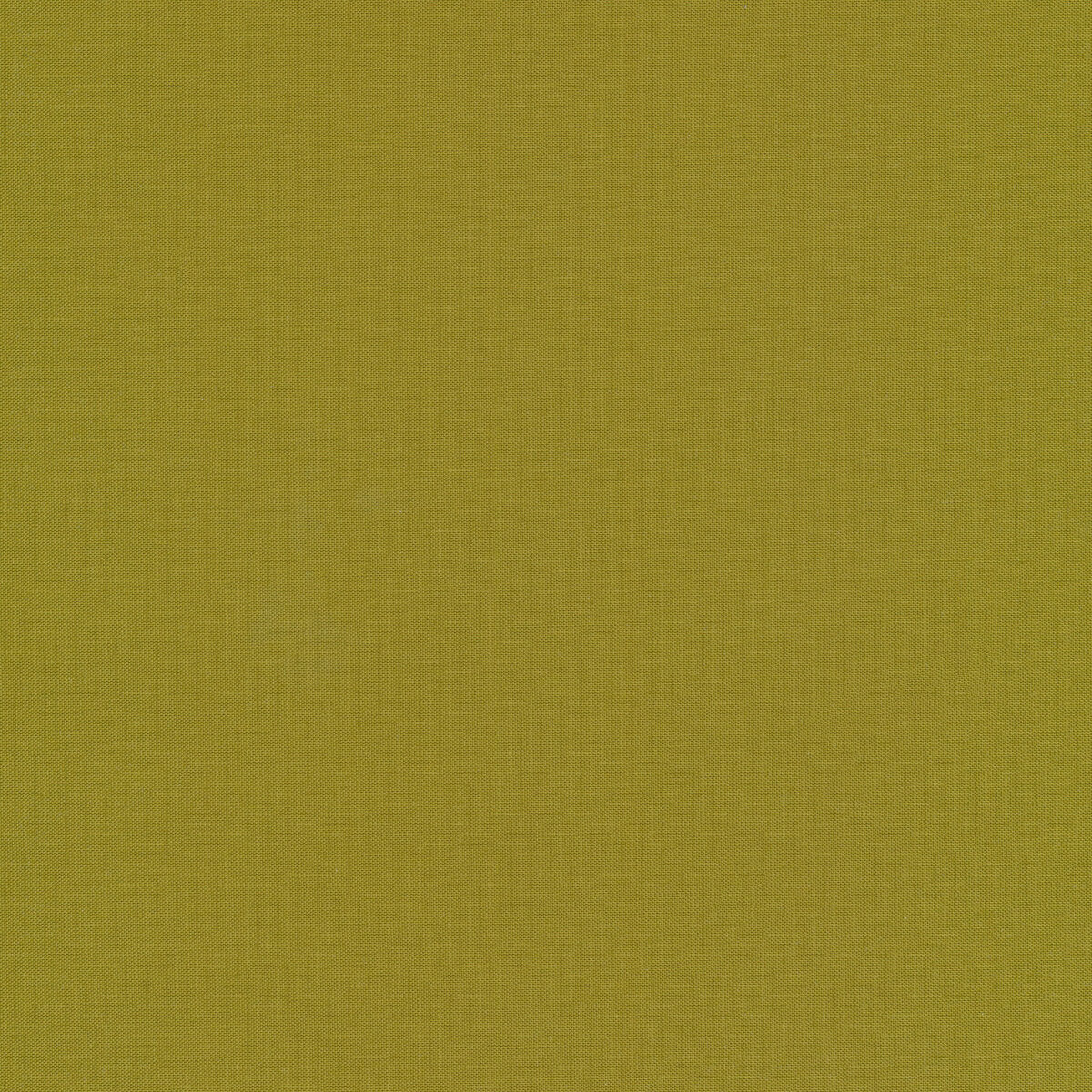 Tilda Basics - Chambray Solids - Moss - 160034 - Half Yard