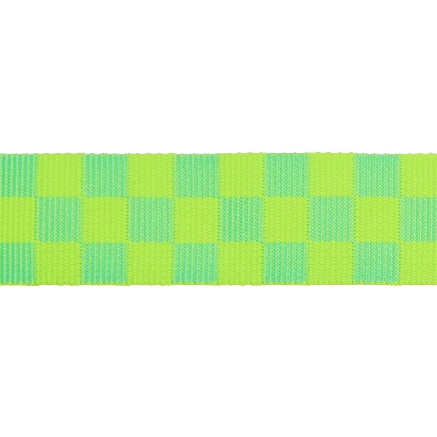 1-1/2" Webbing - Check Please in Moonbeam - Tula Pink Untamed - One Yard