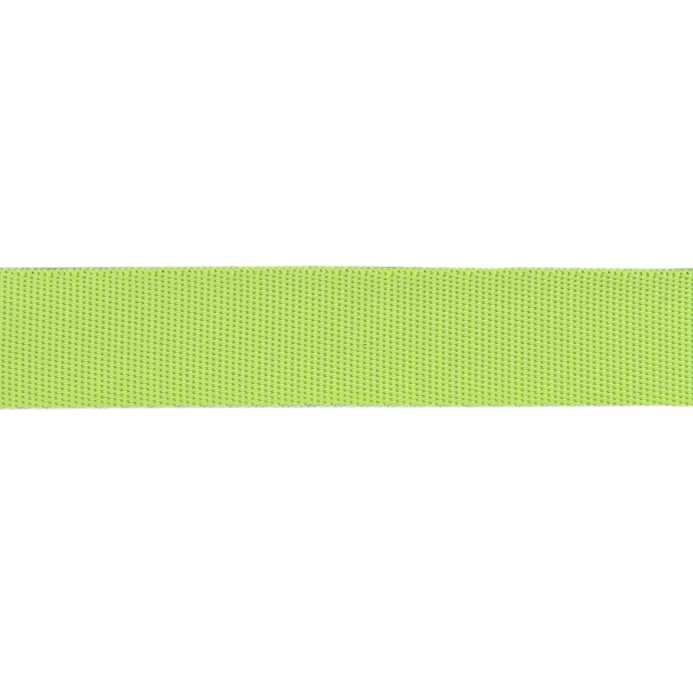 PREORDER - Renaissance Ribbons - 1" Neon Webbing in Moonbeam - One Yard