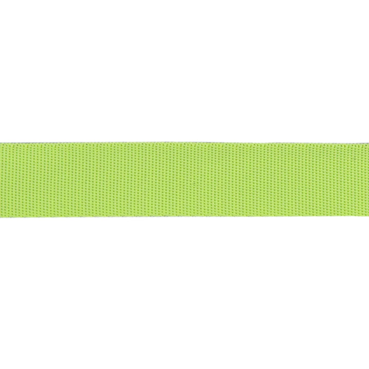 PREORDER - Renaissance Ribbons - 1" Neon Webbing in Moonbeam - One Yard