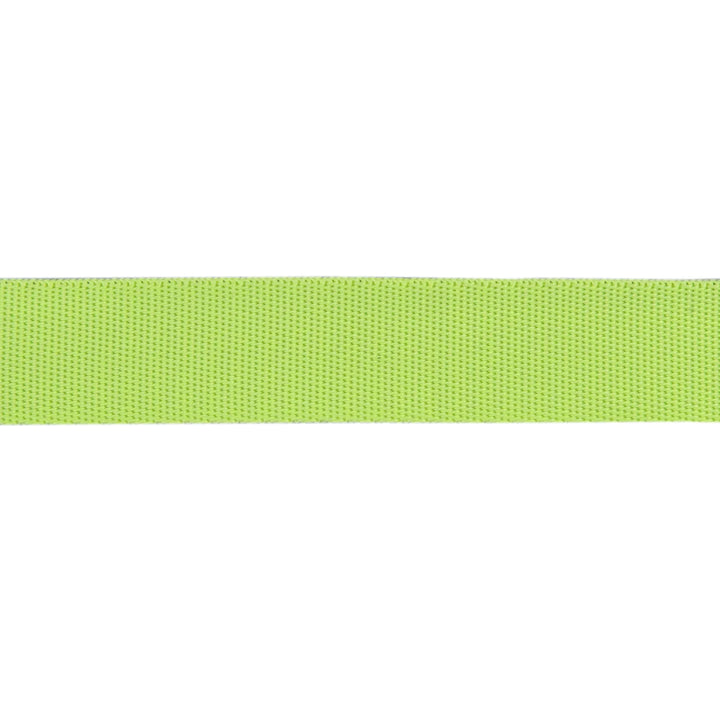 Renaissance Ribbons - 1" Neon Webbing in Moonbeam - One Yard