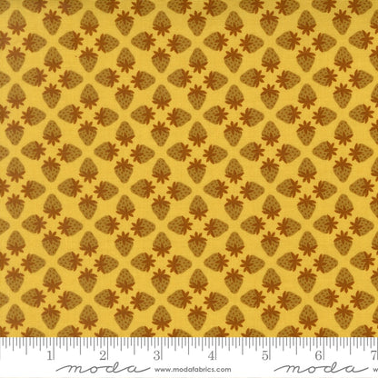 Toast and Jam Zest - by Elizabeth Hartman for Moda (Preorder)