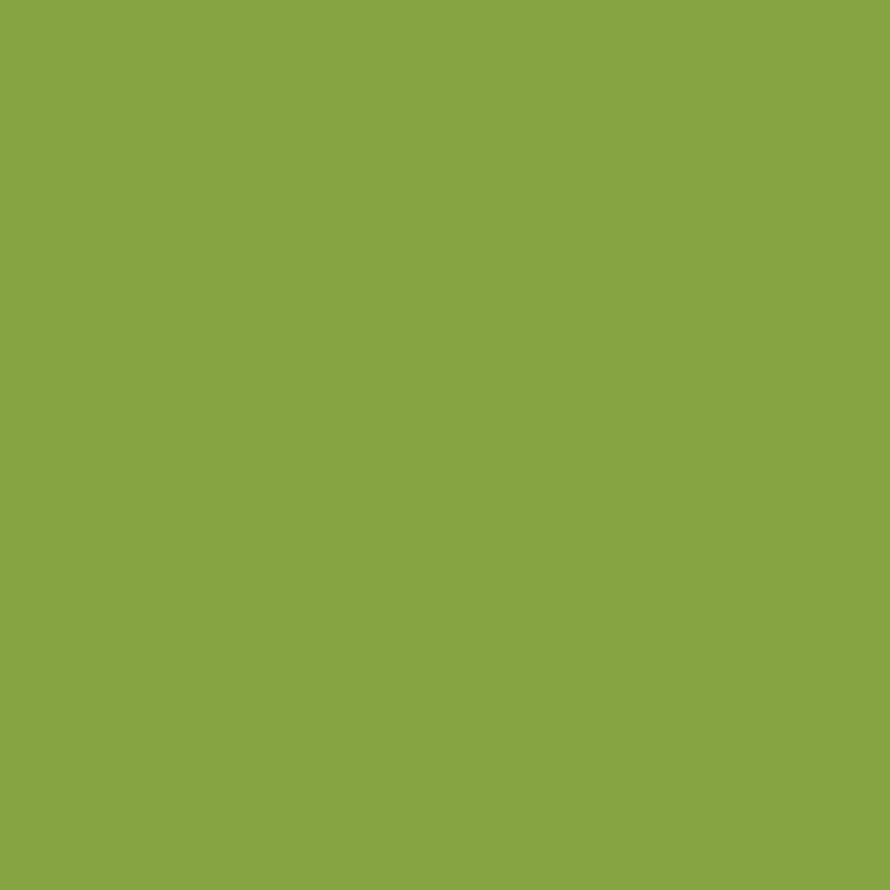 True Colors 2021 - Dragon's Breath in Matcha - Tula Pink for Free Spirit - CSFSESS.MATCH - Half Yard