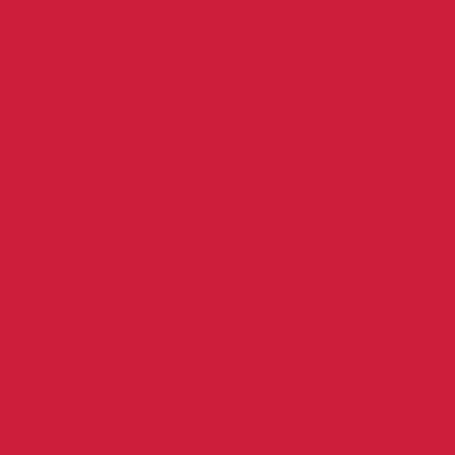 Pure Solids - Undeniably Red - Art Gallery - PE-537 - Half Yard