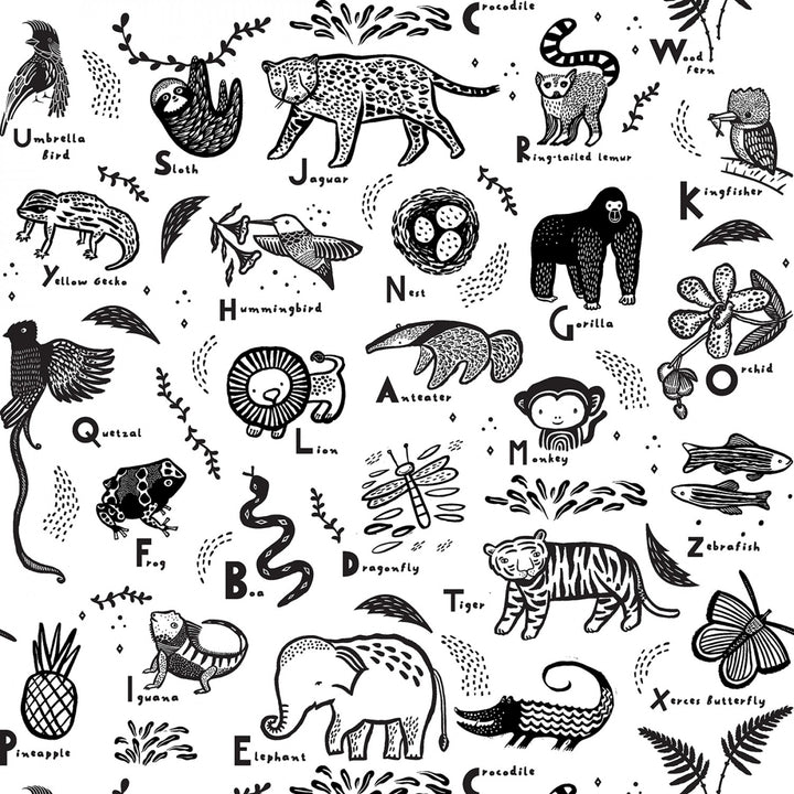 Wee Gallery - ABC Menagerie in White - Dear Stella - WG1982-WHITE - Half Yard
