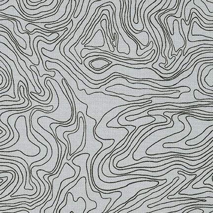 Collection CF - Elevation in Charcoal - Carolyn Friedlander - AFR-19931-184 - Half Yard