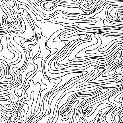 Collection CF - Elevation in Black - Carolyn Friedlander - AFR-19931-2 - Half Yard