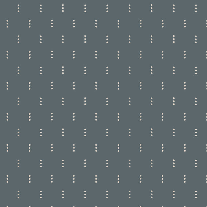 Get Out and Explore - Three Dots in Slate - Mint Tulip for Cotton + Steel - MT103-SL1 - Half Yard