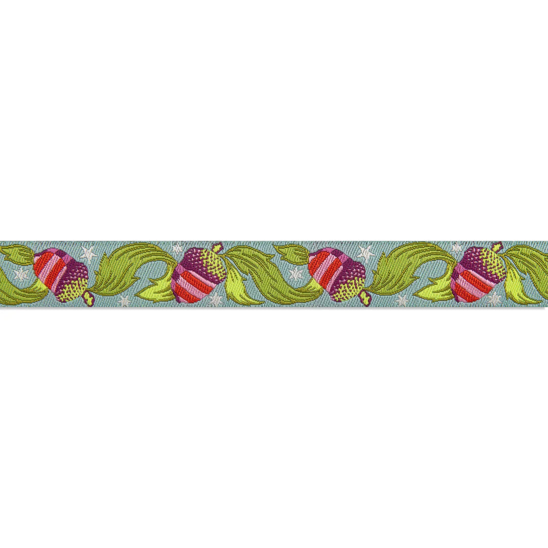 Renaissance Ribbons - Oh Nuts! Aqua 5/8" - One Yard