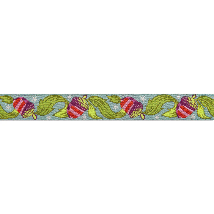 Renaissance Ribbons - Oh Nuts! Aqua 5/8" - One Yard