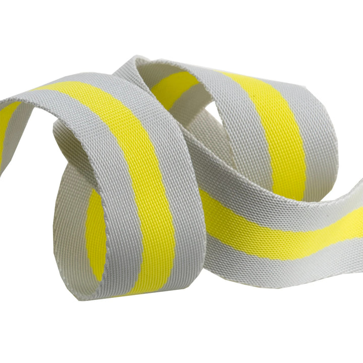 Renaissance Ribbons - Tula Pink Webbing - Tula Pink Webbing in Grey and Lime - TK-90 38mm col 3 - One Yard