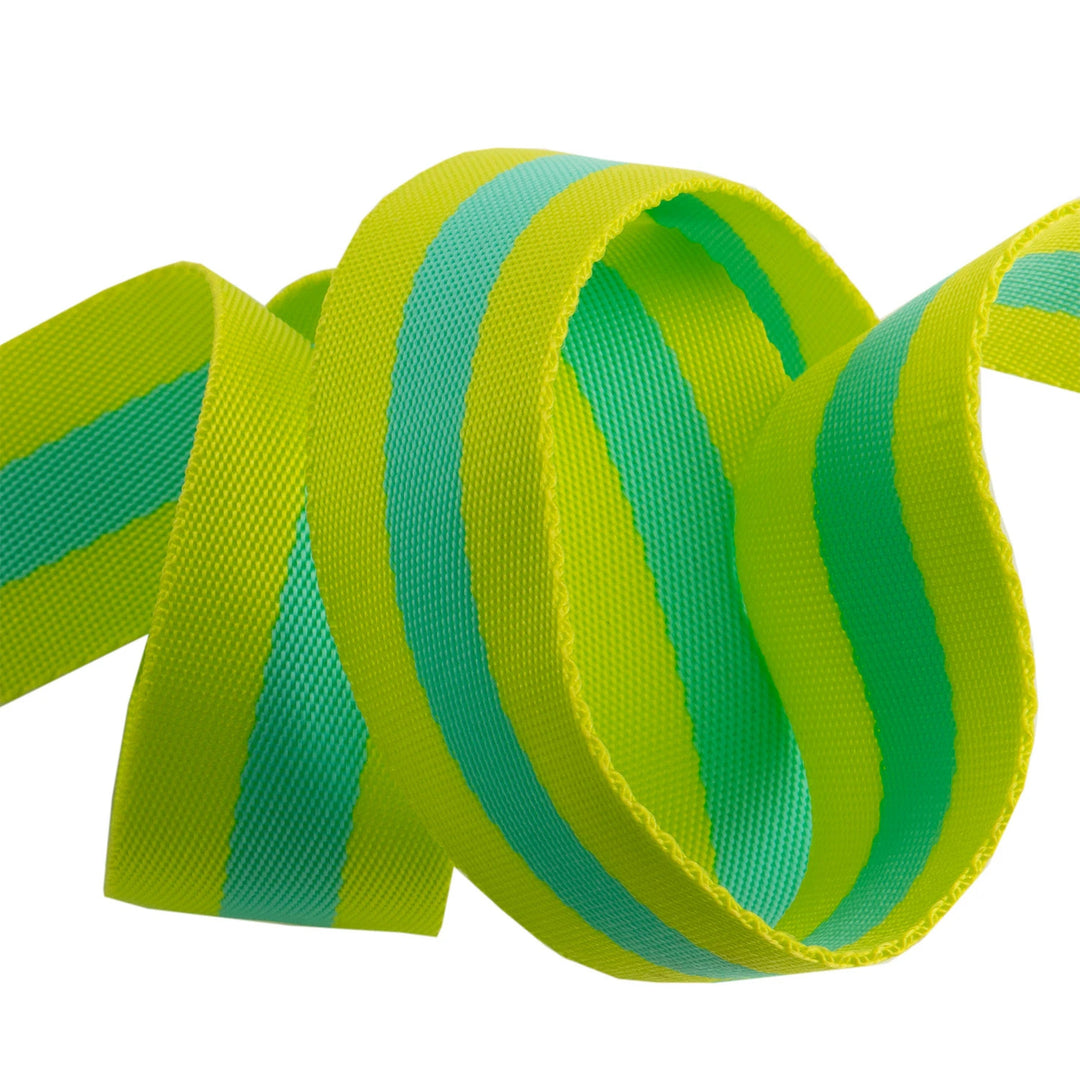 Renaissance Ribbons - Tula Pink Webbing - Tula Pink Webbing in Lime and Turquoise - TK-90 38mm col 4 - One Yard