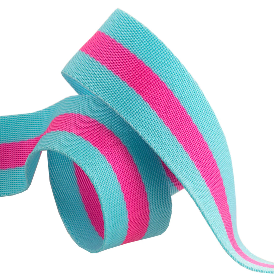 Renaissance Ribbons - Tula Pink Webbing - Tula Pink Webbing in Aqua and Pink - TK-90 38mm col 5 - One Yard
