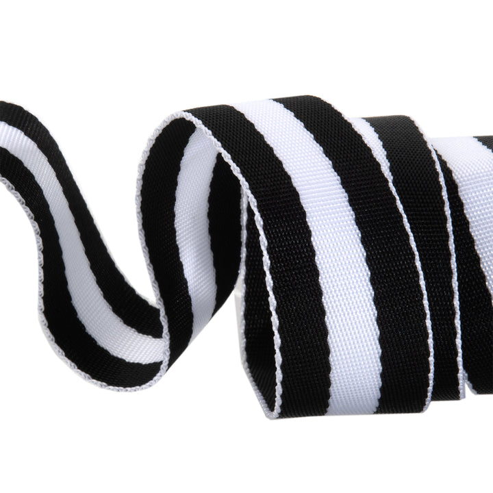 Renaissance Ribbons - Tula Pink Webbing - Tula Pink Webbing in Black and White - TK-90 38mm col 7 - One Yard