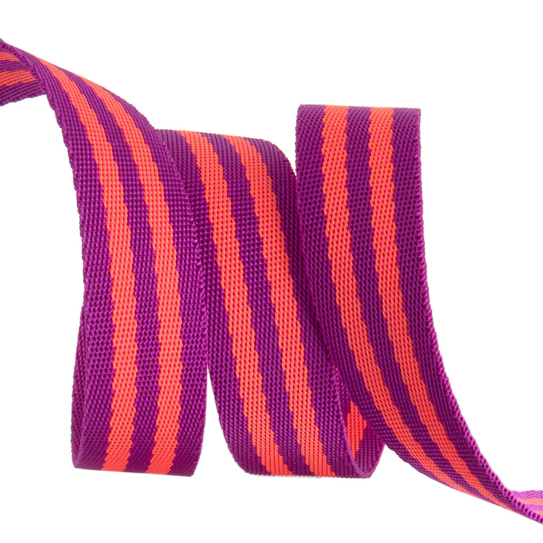 Renaissance Ribbons - 1" Tula Pink Webbing - Tula Pink Webbing in Watermelon and Plum - TKS-91 1" Col 01 - One Yard