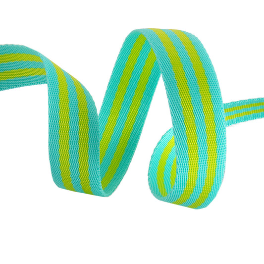 Renaissance Ribbons - 1" Tula Pink Webbing - Tula Pink Webbing in Lime and Turquoise - TKS-91 1" Col 04 - One Yard