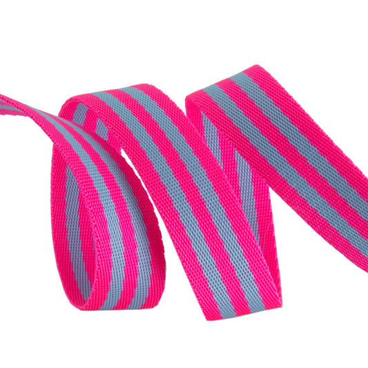 Renaissance Ribbons - 1" Tula Pink Webbing - Tula Pink Webbing in Aqua and Hot Pink - TKS-91 1" Col 05 - One Yard